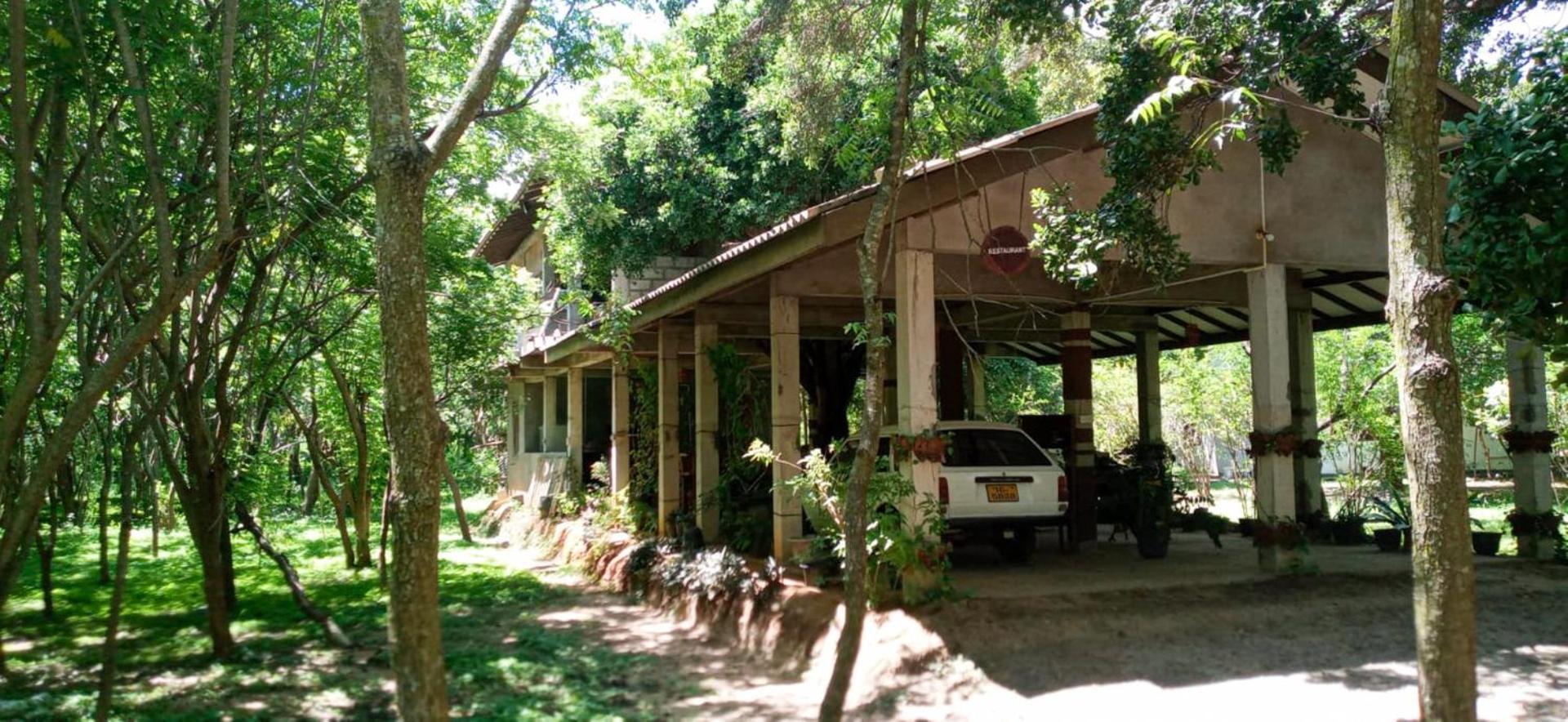 ลาวิช อีโค จังเกิล Hotel ทิซซามาฮารามา ภายนอก รูปภาพ