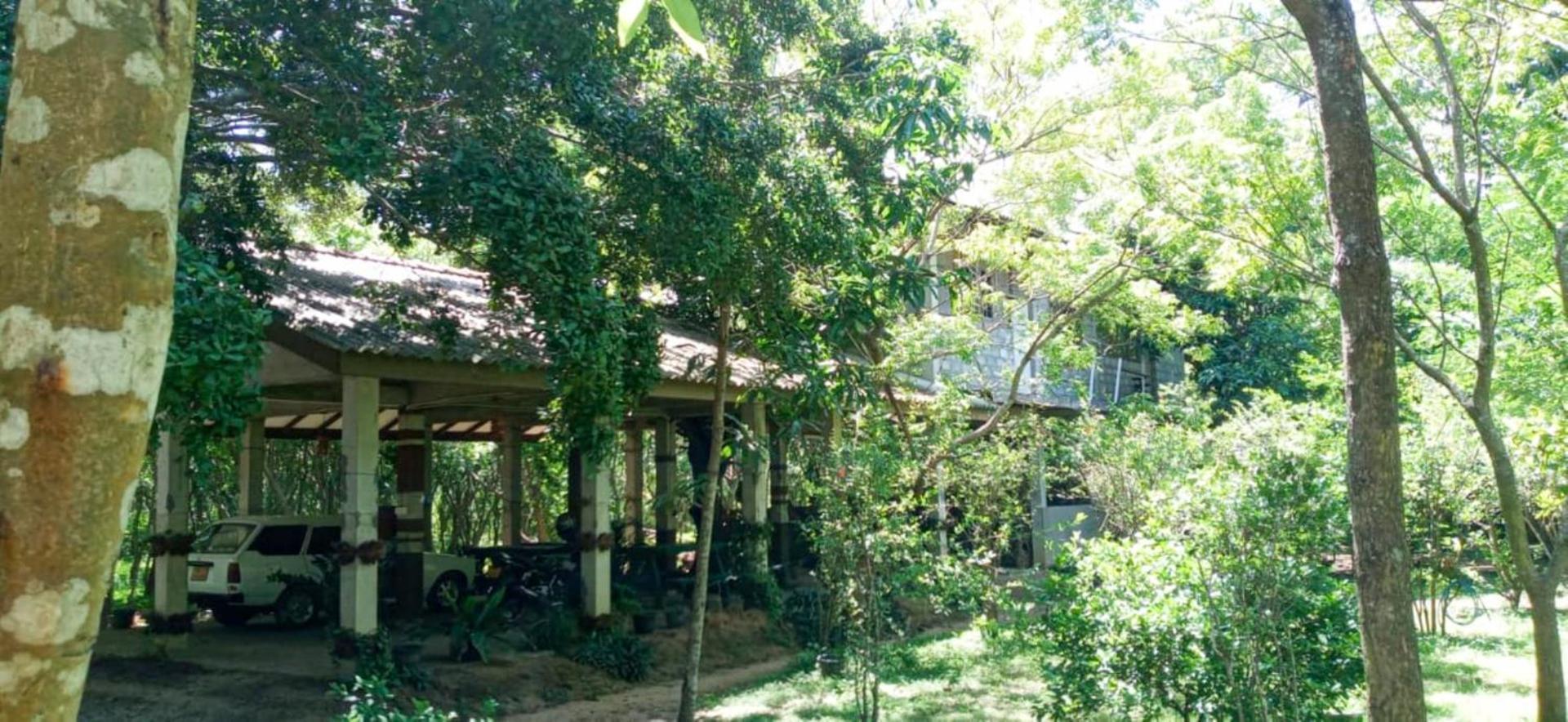 ลาวิช อีโค จังเกิล Hotel ทิซซามาฮารามา ภายนอก รูปภาพ