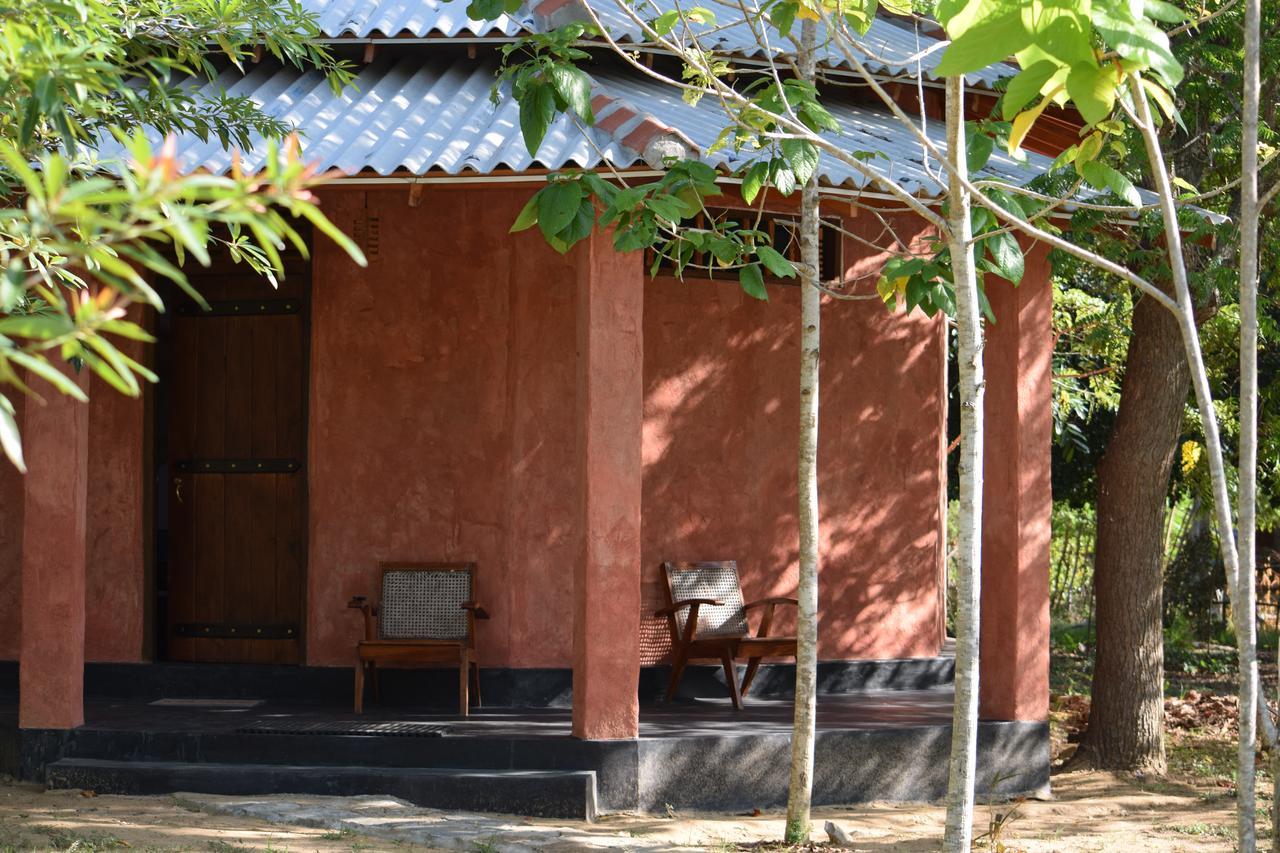 ลาวิช อีโค จังเกิล Hotel ทิซซามาฮารามา ภายนอก รูปภาพ